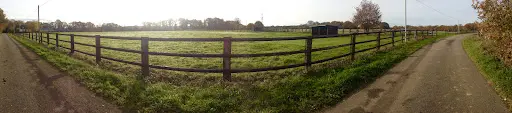 Haras du Feu, Écurie,elevage et Pension Chevaux