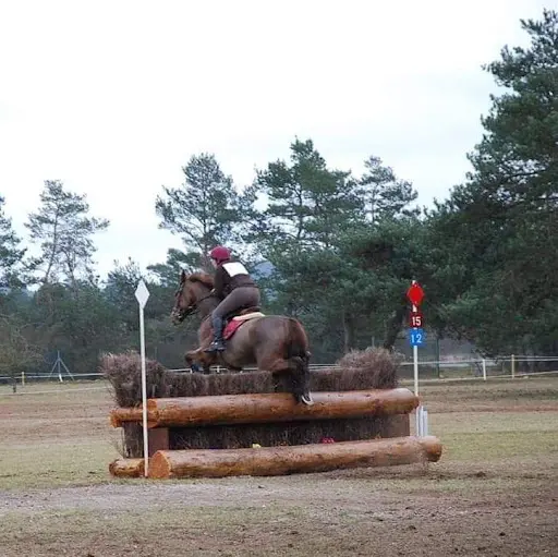 Ecurie Horse Solution - Léa Billon
