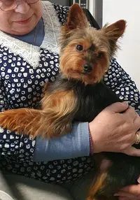 Au Bonheur Canin