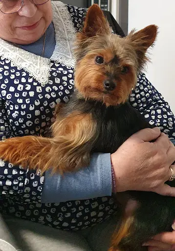 Au Bonheur Canin