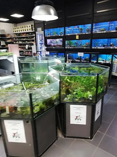 Magasin Vert Plerin