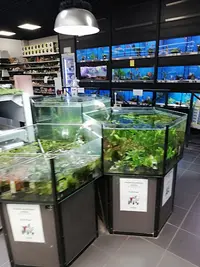 Magasin Vert Plerin