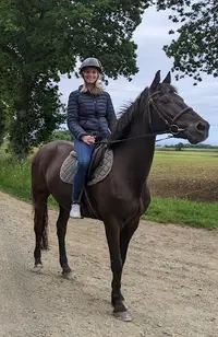 Pony-express : Poney Club Plerin