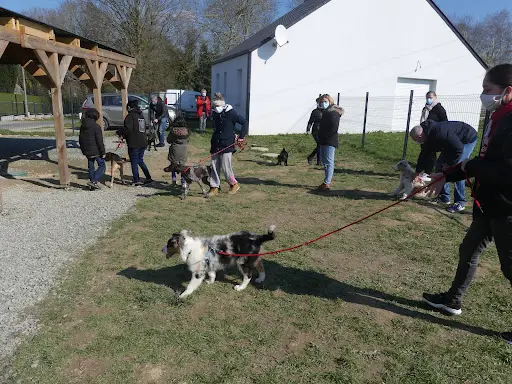Ecole Canine de Plessé
