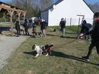 Ecole Canine de Plessé
