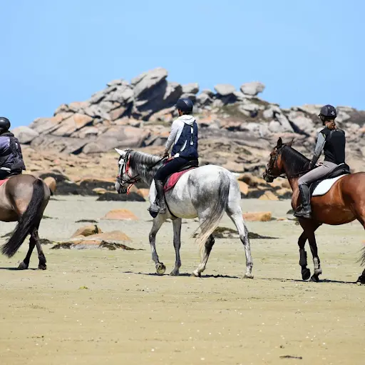 Equitation Saint Samson