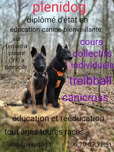 Plenidog Éducation Canine Jura