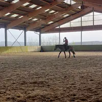 Le Domaine du Cheval de Lezalain
