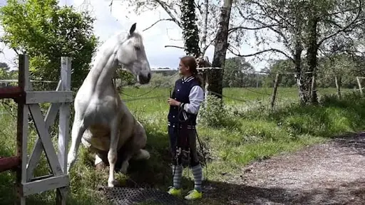 Ecurie des 5 Chênes