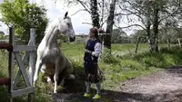 Ecurie des 5 Chênes
