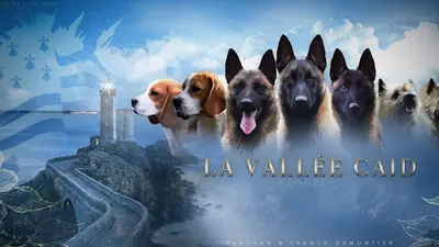 Élevage de la Vallée Caïd