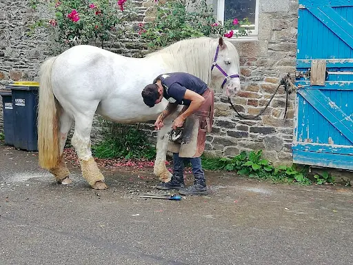 Kerboeuf Maréchalerie