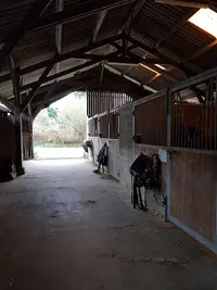 Écuries la Ferme de Lanvern ( Pension Chevaux)