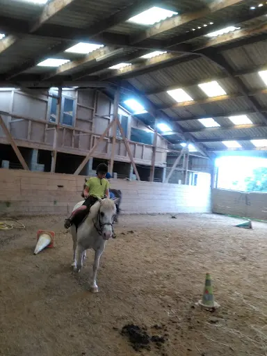 Poney-club Blue Nash