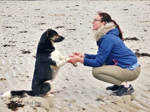 Gwenn le Meur - Educateur Canin & Coach-comportementaliste Animalier