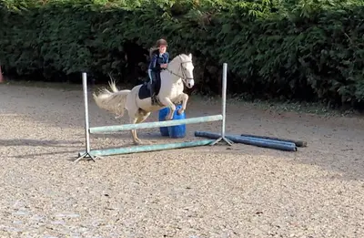 Poney Club du Moulin