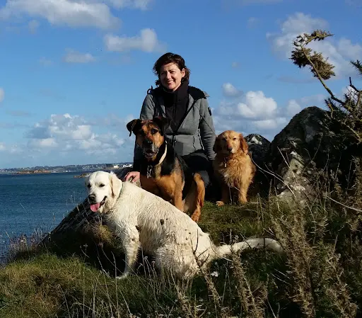 Cynozen Comportementaliste Chiens et Chats, Education Canine, Mantrailling