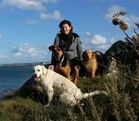 Cynozen Comportementaliste Chiens et Chats, Education Canine, Mantrailling