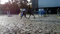 Earl Saint-brieuc Équitation