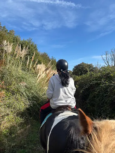 Plougastel Equitation