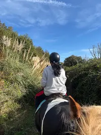 Plougastel Equitation
