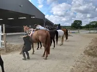 Univers Ponies