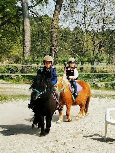 Equicelte