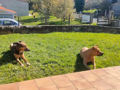À la Croisée des Pattes