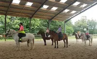 Pony Academy
