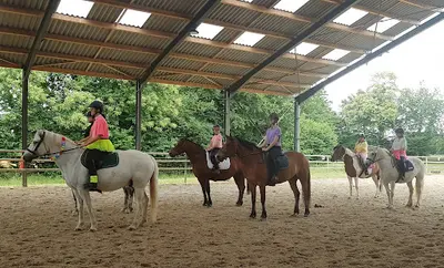 Pony Academy