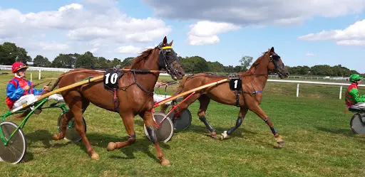 Ste Courses de Chevaux de Guingamp