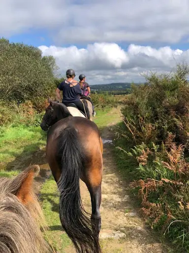 Les Chevaux du Néour