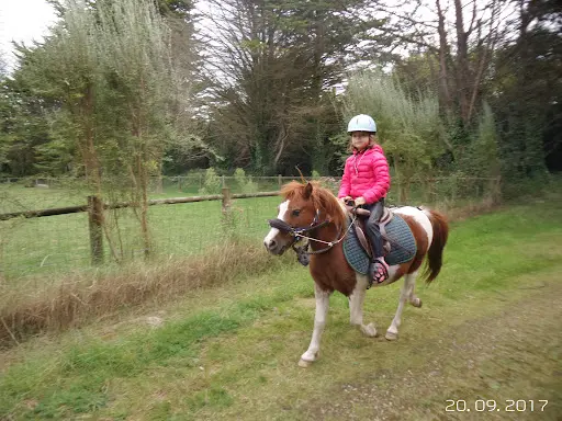 Centre de Tourisme Equestre * Keremma Equitation * Poney-ranch