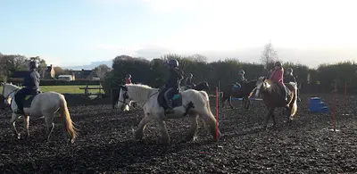 Chevaux du Coat