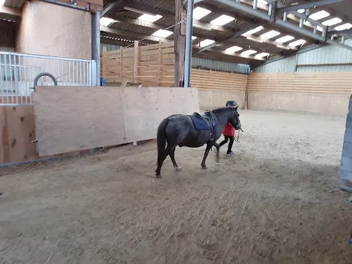 Ferme Equestre de Kerbiriou