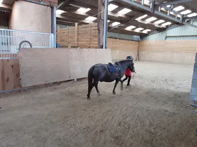 Ferme Equestre de Kerbiriou