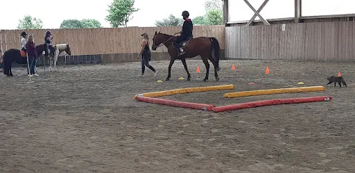 Equi Plum
