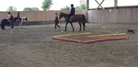 Equi Plum
