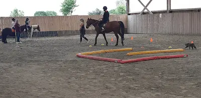 Equi Plum