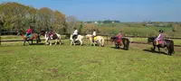 l'Amiso Connexion Animale
