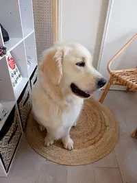 Allez Hop, au Bain!