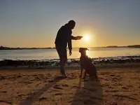 Ls Dog Education - Educateur et Comportementaliste Canin le Bono