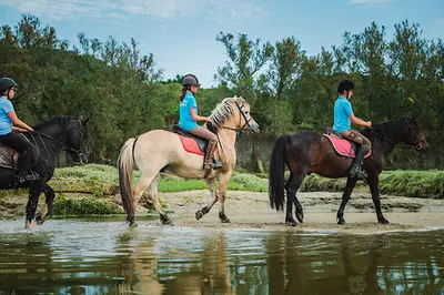 Centre Equestre Bretagne