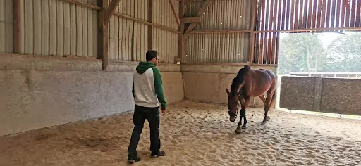 Cheval et Guide