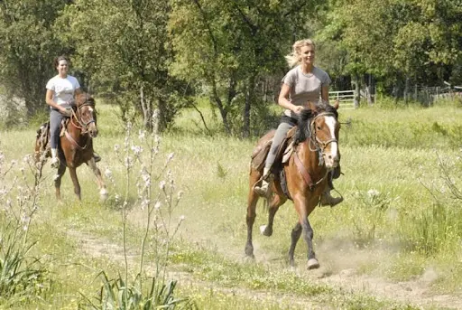 Centre Equestre Equiloisirs-fae