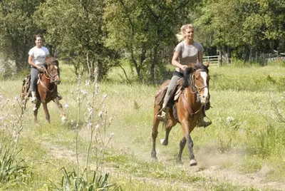 Centre Equestre Equiloisirs-fae