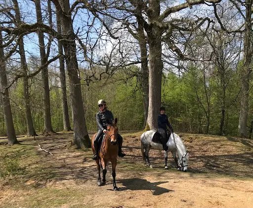 Delattre Emmanuelle Enseignante d'Équitation