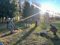 Les Aristo Chiens