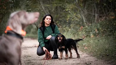 De Nature Canine Poissy Éducateur Comportementaliste Canin