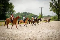 Les Écuries de Vanda